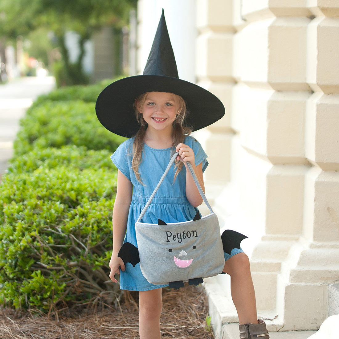 Plush Halloween Trick or Treat Bat Character Basket