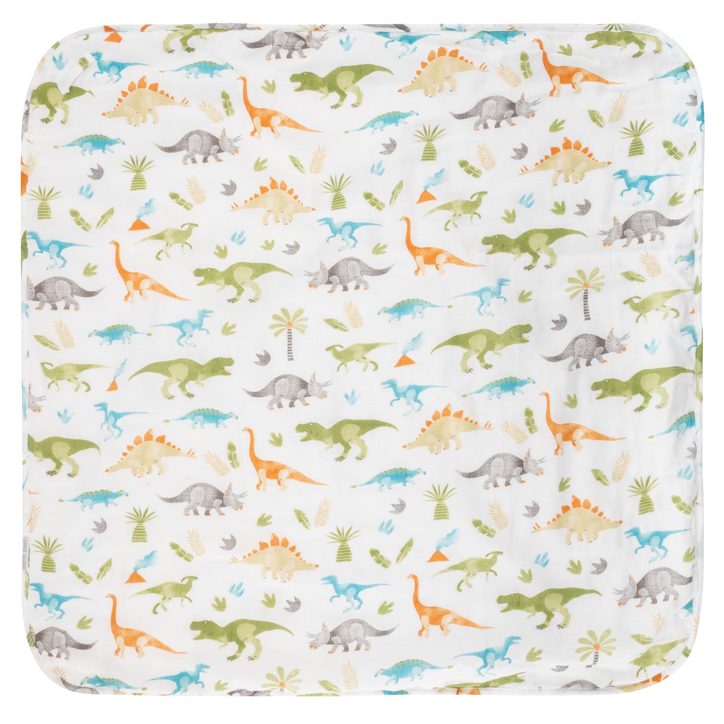 Dinosaur Muslin Hooded Towel & Washcloth Set, Bamboo Blend