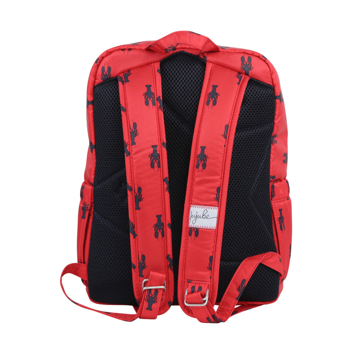 cape cod kids backpacks