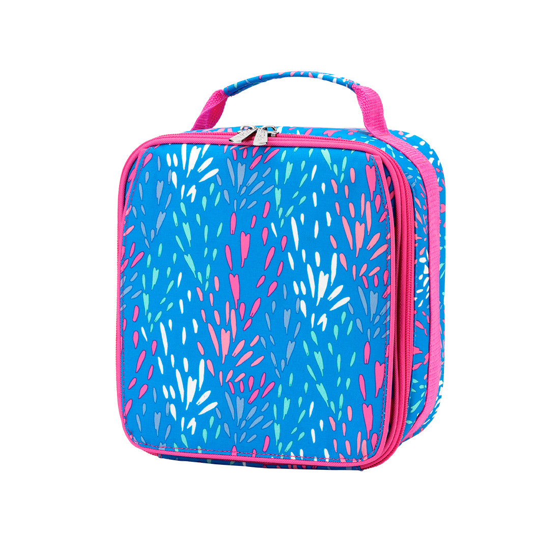 Lunch Boxes for Kids in Colors and Patterns